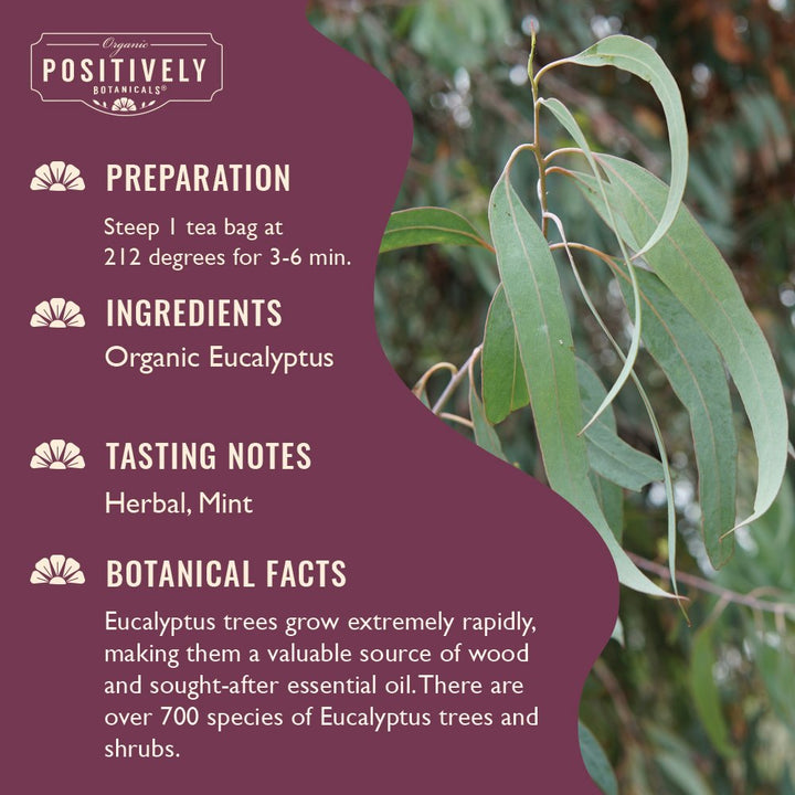 Organic Eucalyptus - Botanical Tea Bags