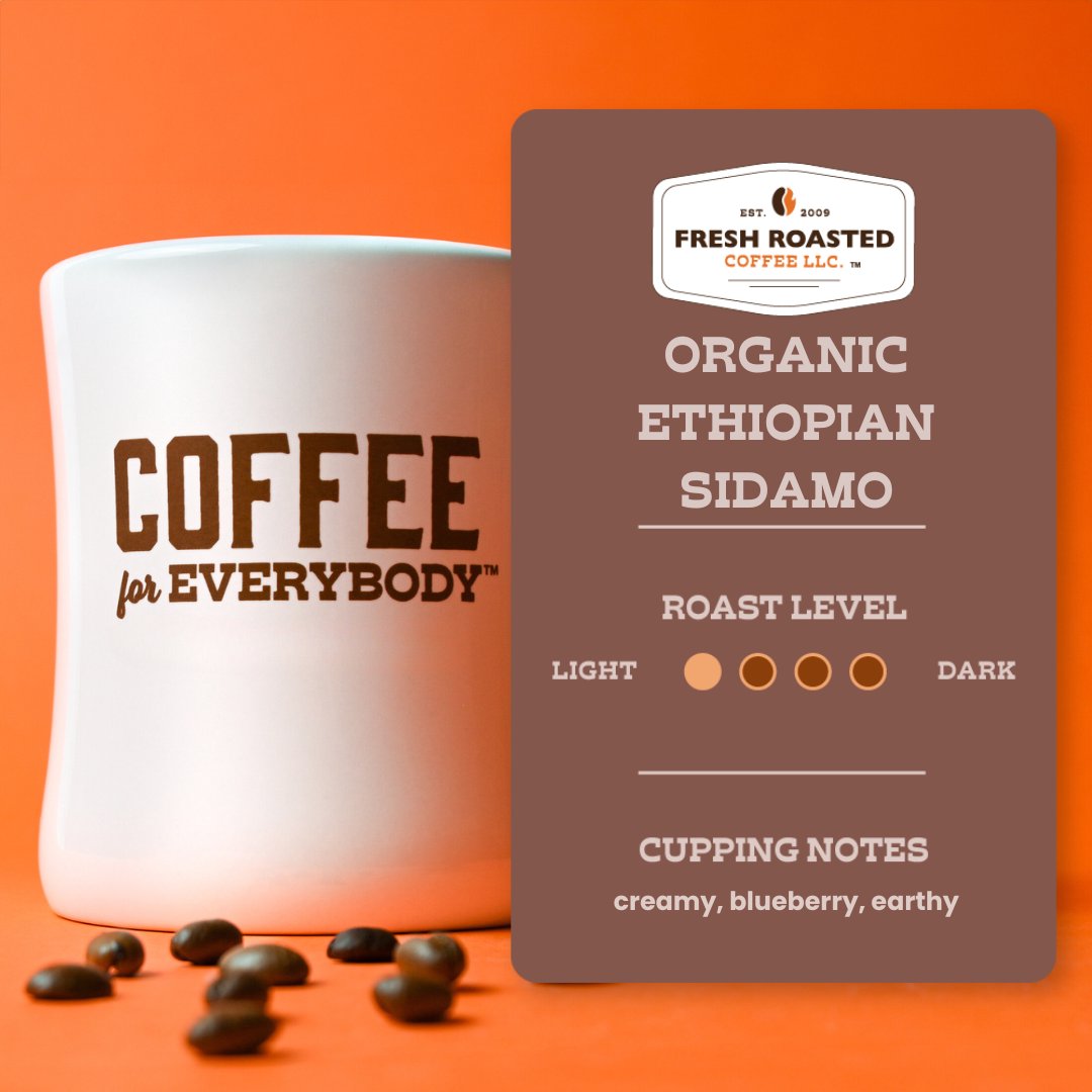 Organic Ethiopian Sidamo - Classic Coffee Pods