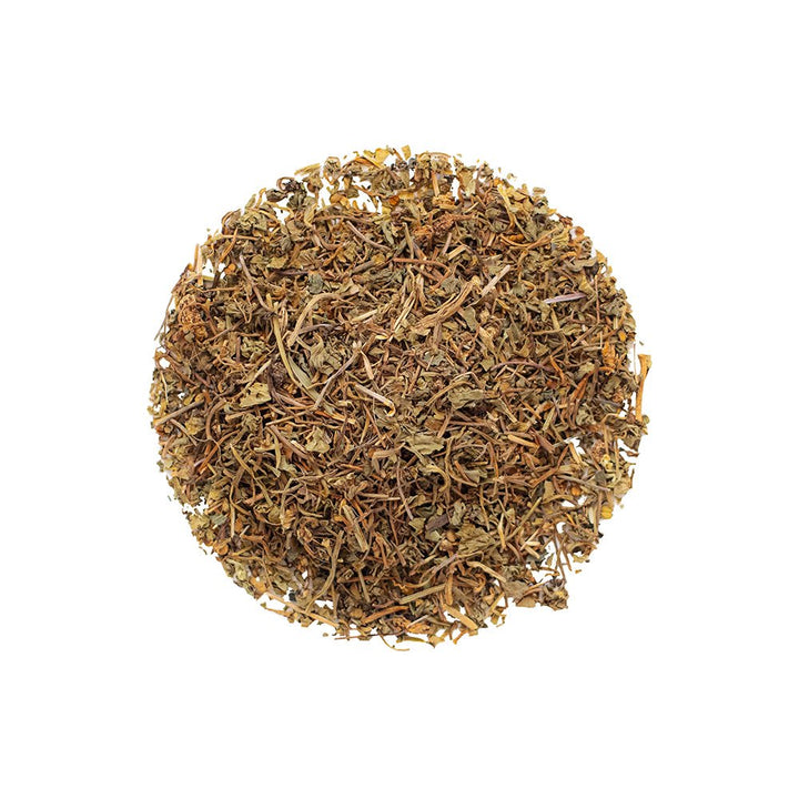 Organic Gotu Kola - Loose Leaf Botanical