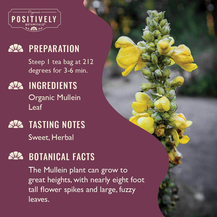 Mullein Leaf - Botanical Tea Bags