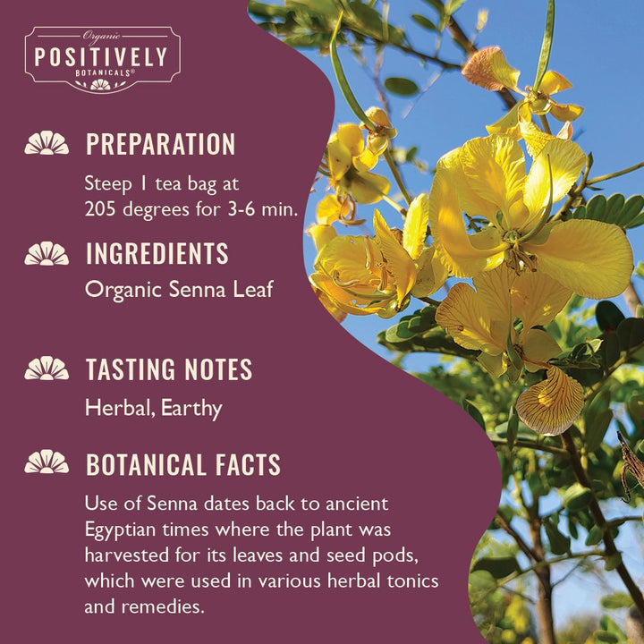 Senna Leaf - Botanical Tea Bags