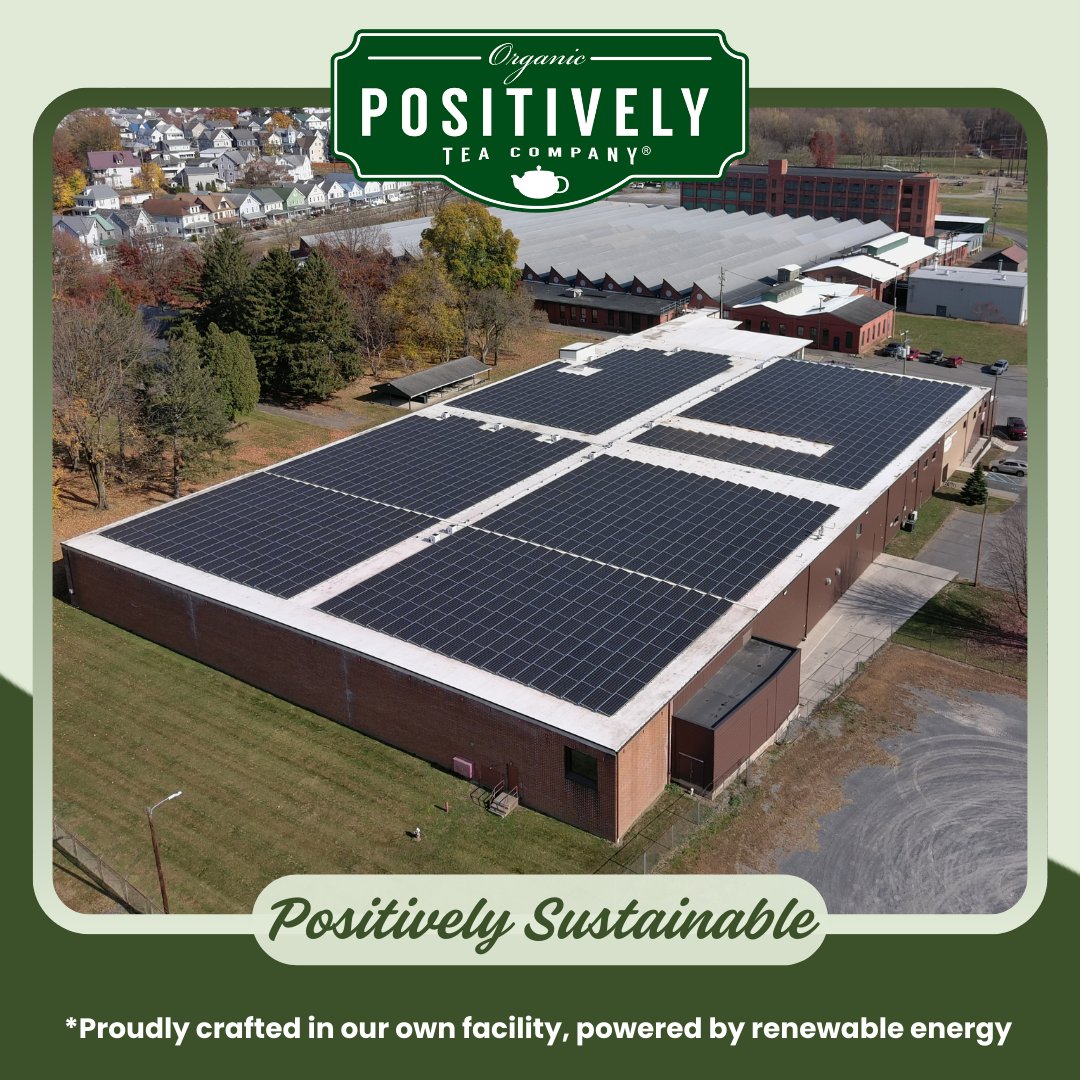 Green Tea - Tea Bags