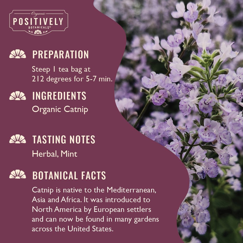 Catnip - Botanical Tea Bags