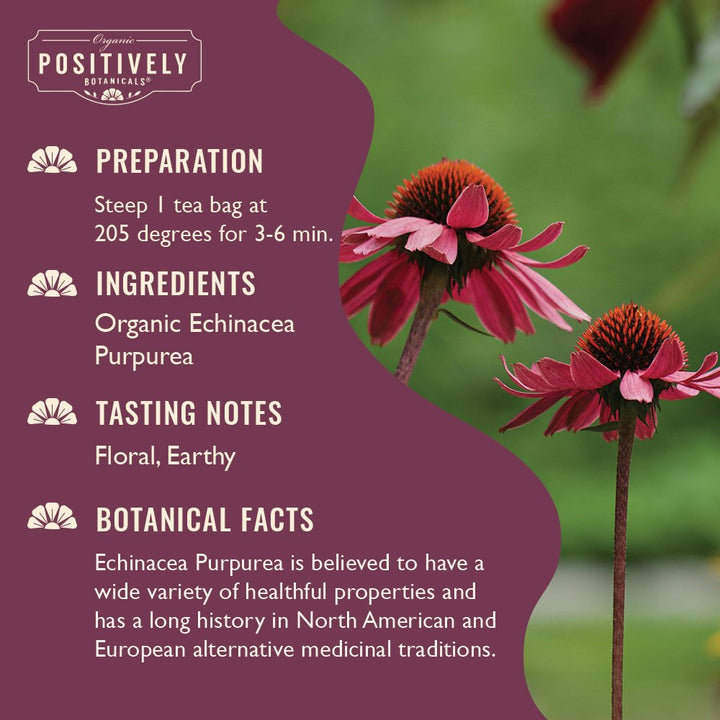 Echinacea Purpurea - Botanical Tea Bags