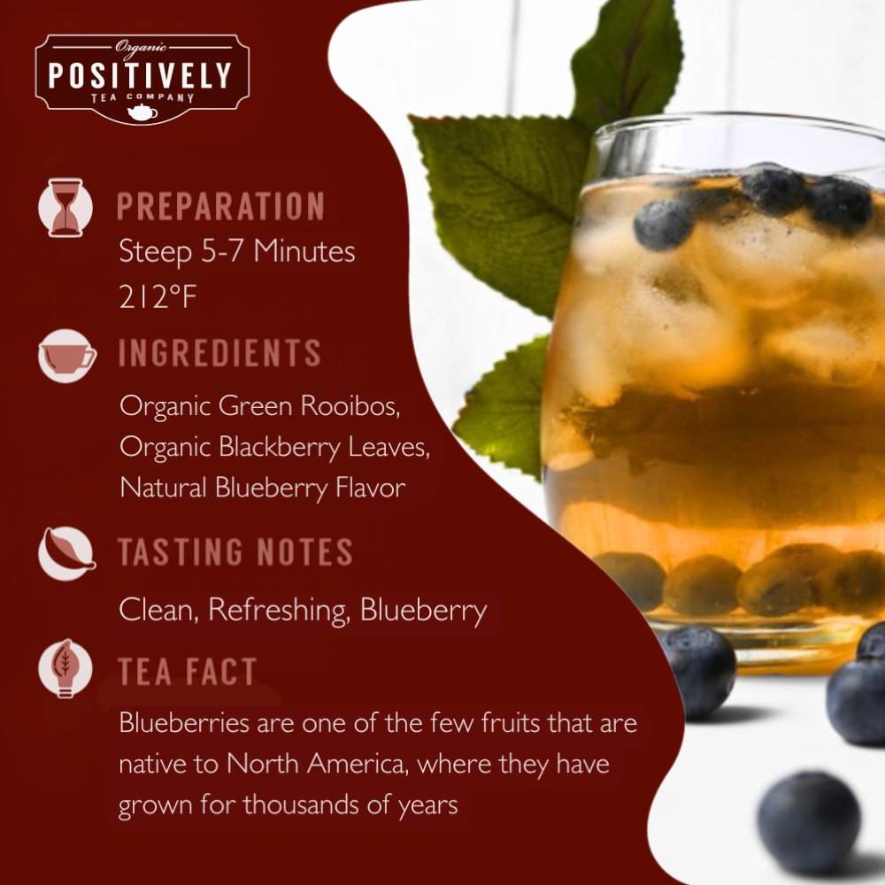 Organic Blueberry Bliss - Tea Bags