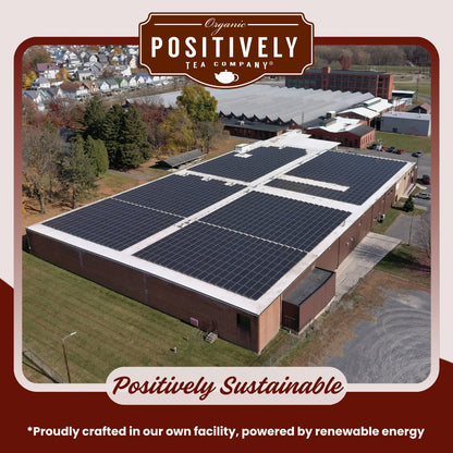 Organic South African Green Rooibos - Loose Leaf Tea